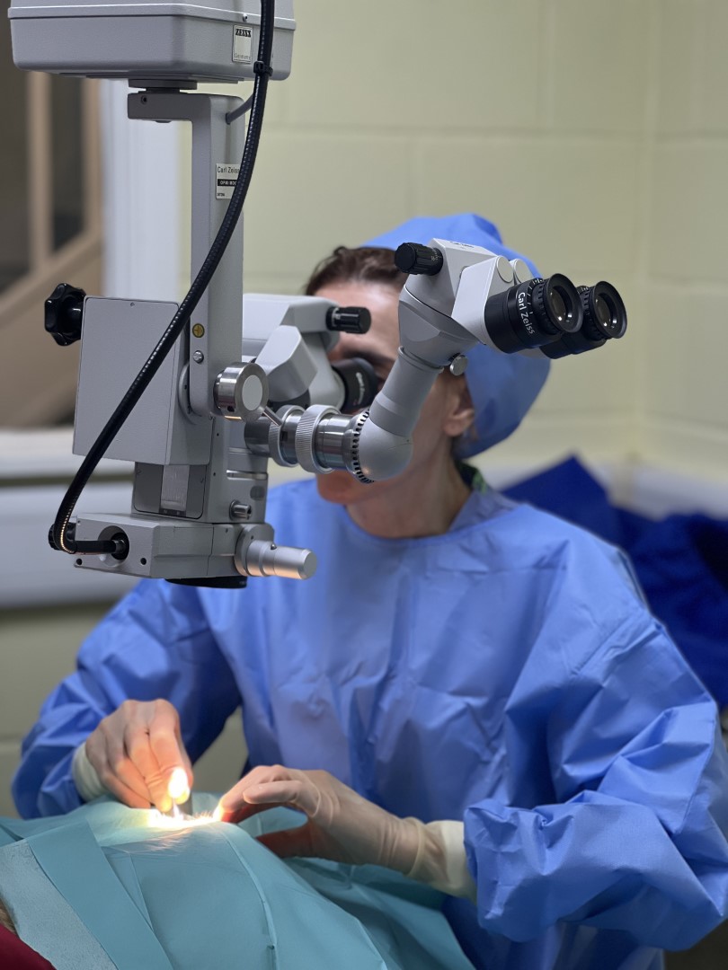 Eye Clinic Ipswich Veterinary Centre