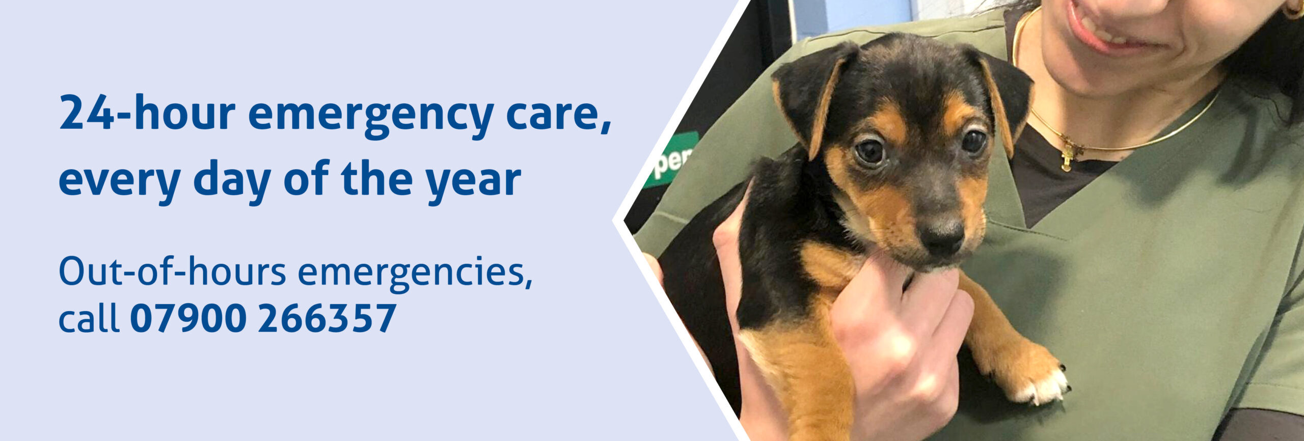 24 hour emergency care every day of the year. Call: 07900 266357