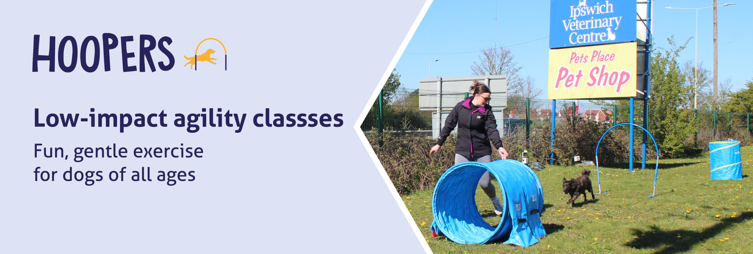 Low-impact agility classes for dogs of all ages.