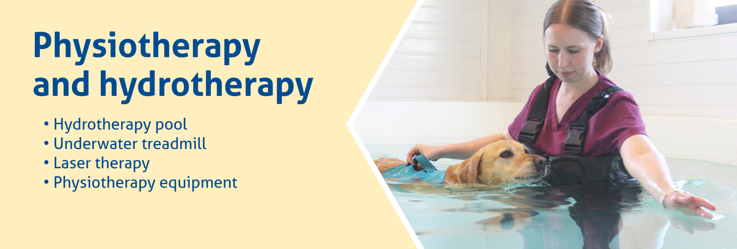 Facilities include hydrotherapy pool, underwater treadmill and laser therapy.